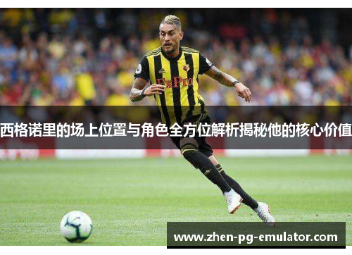 西格诺里的场上位置与角色全方位解析揭秘他的核心价值