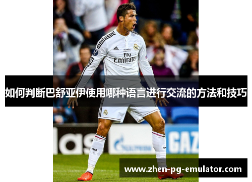 如何判断巴舒亚伊使用哪种语言进行交流的方法和技巧 如何判断巴舒亚伊使用哪种语言进行交流的方法和技巧