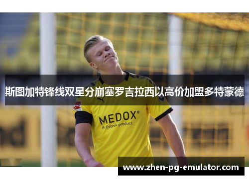 斯图加特锋线双星分崩塞罗吉拉西以高价加盟多特蒙德 斯图加特锋线双星分崩塞罗吉拉西以高价加盟多特蒙德